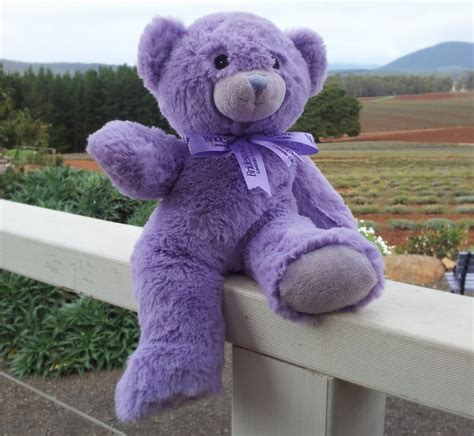 lavender scented microwavable stuffed animal|lavender filled teddy bear.